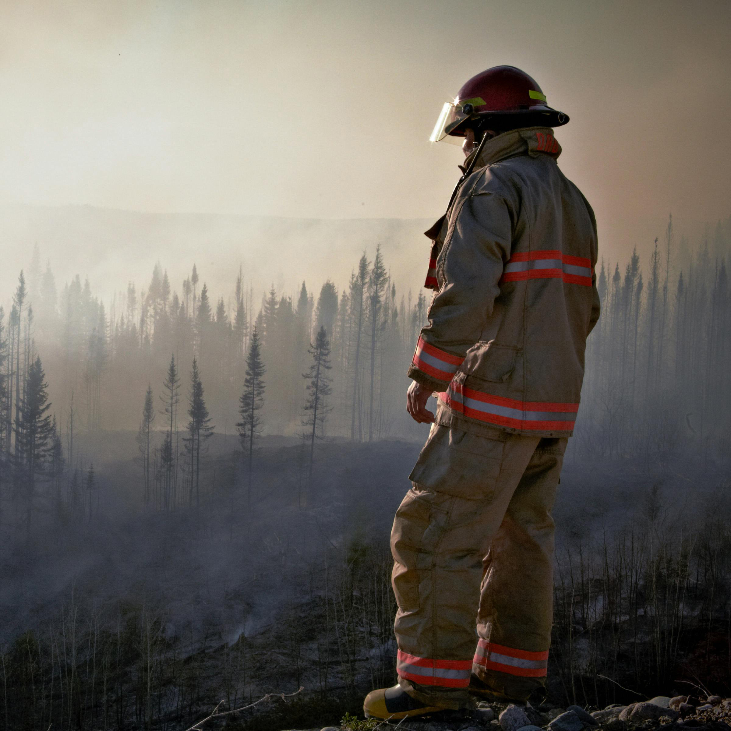 A firefighter looking out over a smoking forest after a wildfire